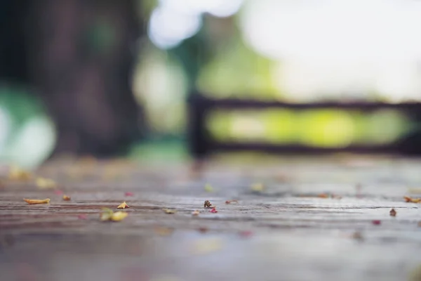 Small leaves and flowers on wooden table — Stock Photo, Image