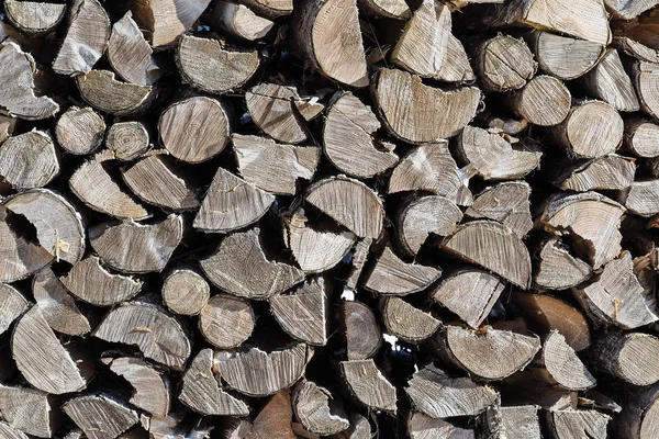 Grapas de madera del árbol talado — Foto de Stock