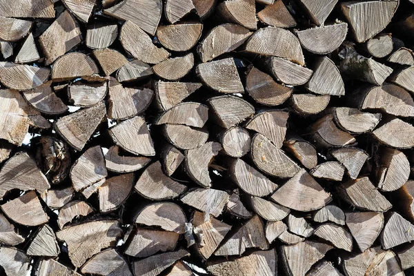 Grapas de madera del árbol talado — Foto de Stock