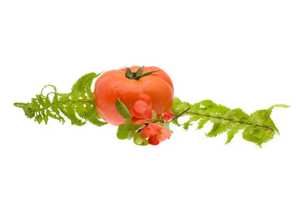 Натуральний помідор ізольований на білому тлі — стокове фото