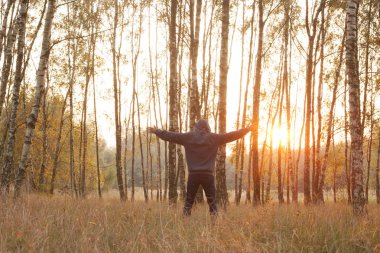 mutluluk ve özgürlük - orman