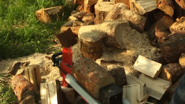 Hout Hakken Machine Elektrische Houthakker — Stockvideo