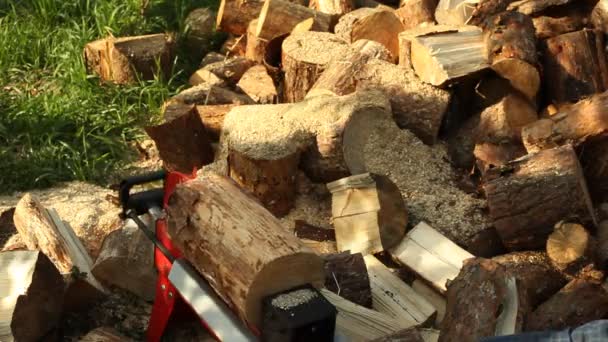 Electric Machine Chopping Wood — Stock Video