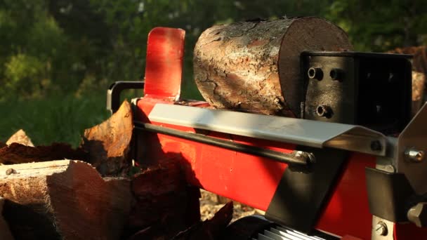 Modern Wood Chopping Mechanical — Stock Video