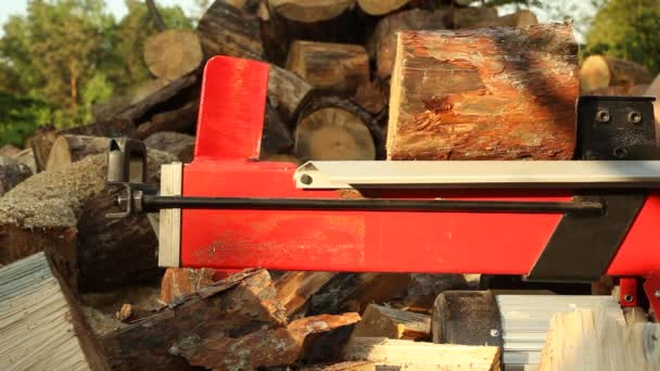 Mechanisches Holz Hacken Elektrischer Holzfäller — Stockvideo