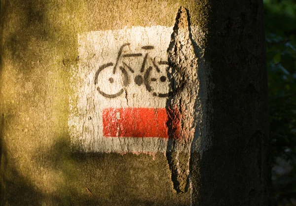 숲에 자전거 경로입니다. 레드 — 스톡 사진