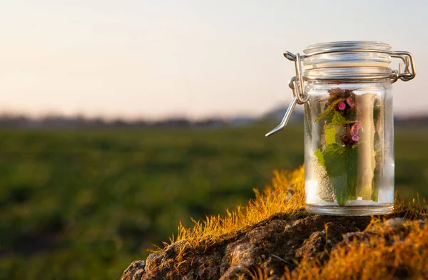 Alternative medicine in health care. Herbs in a glass jar, dish.