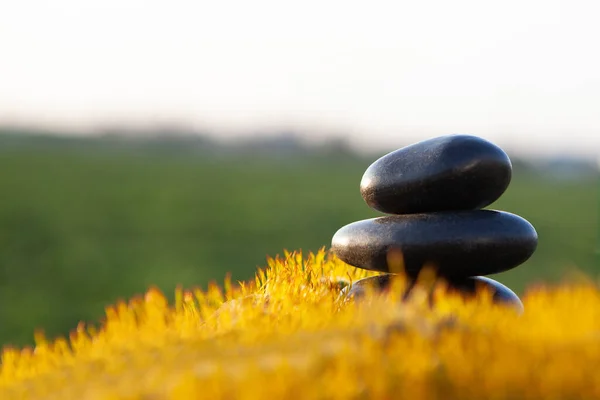 Egyensúly Köve Tüske Tex Egy Halom Zen Kövek Természet Hátterében — Stock Fotó