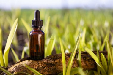 Ekolojik tıbbi hazırlık. Kahverengi şişe. Şifalı bitki özütü. Eko ürün - şişe ve bitkiler.