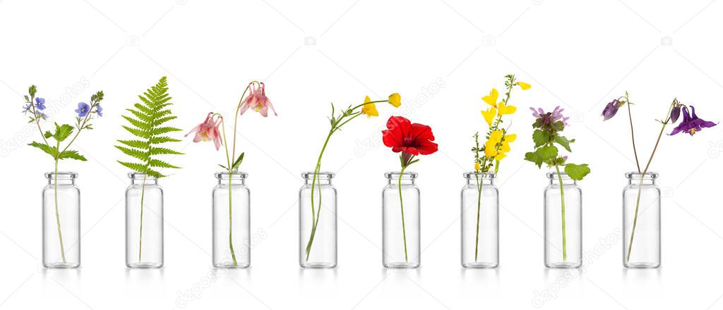 Natural remedies, bottle - bach.  Bottles of essential oil with herbs holy flower.