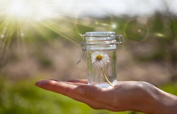 Homeopatía Palma Mano Composición Primavera Ayuda Natural — Foto de Stock