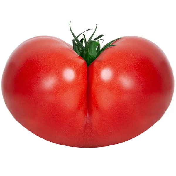 Fresh Tomato Isolated Vegetable Woman Shape Ass Original Butt Shaped — Stock Photo, Image