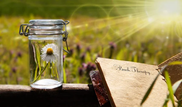 Şifalı bitkilerin çiçekleri - Bach çiçeği ilaçları. Alternatif tıp, şişedeki çiçek..