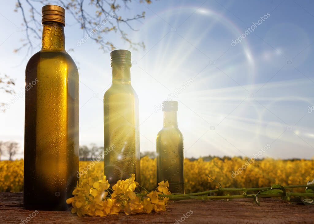 Oil bottle with rapeseed on the background of the field. Natural olive oil, organic farming - the su.
