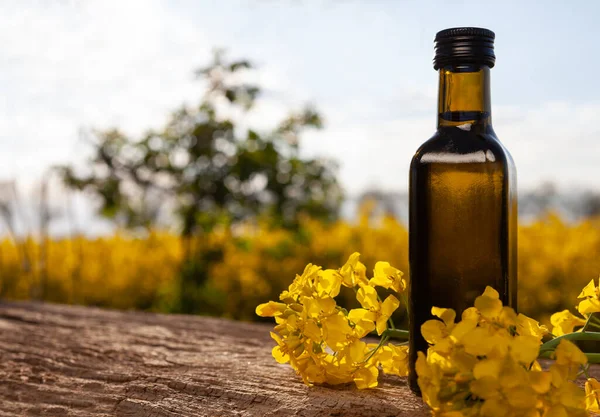 Bottle of rapeseed oil (canola) and rape flowers bunch on table. Rapeseed oil on wooden table in field