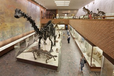 Moskova Paleontological Müzesi 20.08.20 dinozor iskeletleri
