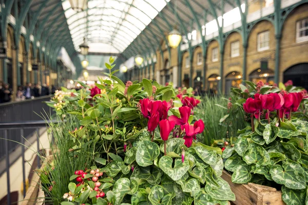 Vue rapprochée des fleurs à Covent Garden, Londres — Photo