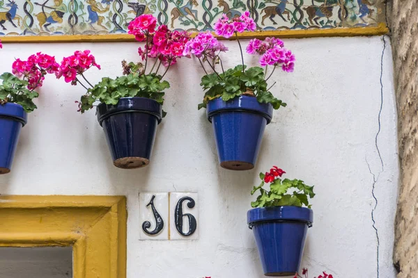 Vasi da fiori e fiori su un muro bianco, Città Vecchia Europea — Foto Stock