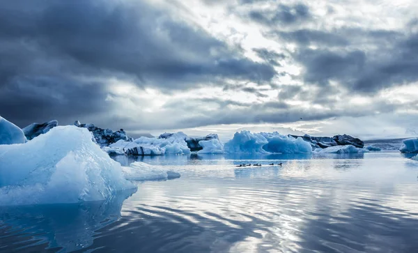 Rodziny kaczek i niebieski lód o Icelake Jokulsarlon. Islandia — Zdjęcie stockowe