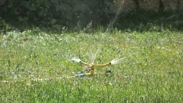 Wassersprenger auf grünem Gras in Bewegung — Stockvideo