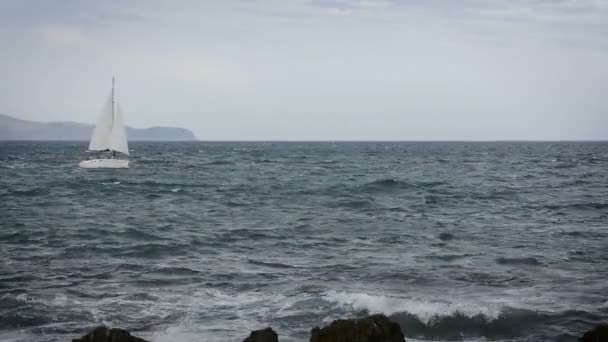 Navegar en el viento a través de las olas . — Vídeos de Stock