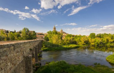 Antik Roma köprü üzerinden Tormes nehir Salamanca, İspanya