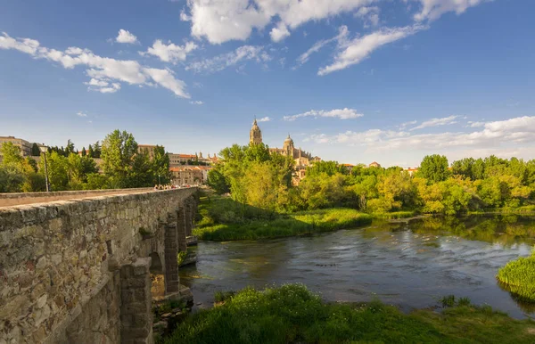 Antik Roma köprü üzerinden Tormes nehir Salamanca, İspanya