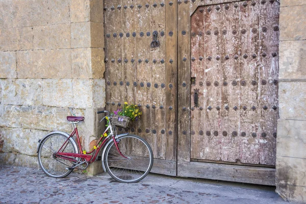 Велосипед с цветами на корзине опираясь на деревянную дверь — стоковое фото