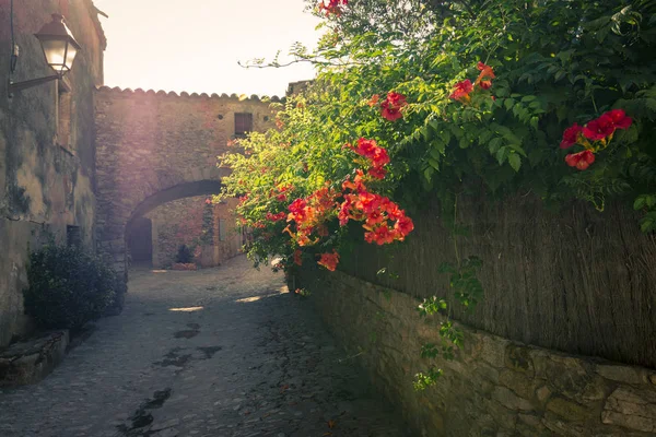 Flores iluminadas na antiga cidade medieval de Peratallada, Espanha — Fotografia de Stock