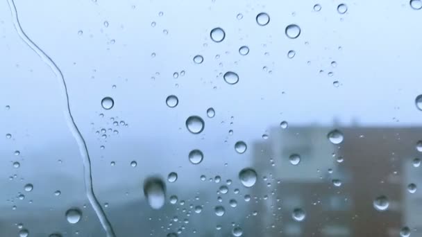 Heftiger Sturm tropft auf eine Fensterscheibe herab. Blauton. — Stockvideo