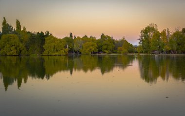Bir yağmurlu günde yeşil trafik ışığı kırmızı