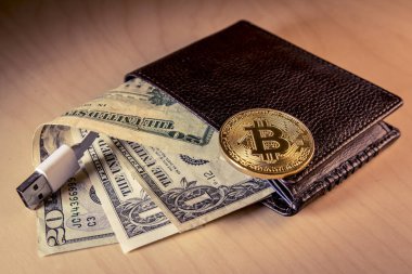 Bize dolar ve Usb kablosu ile bir cüzdan üzerinde altın Bitcoin ile mali kavramı