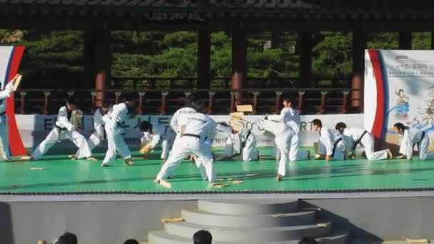 Seoul South Korea October 2012 Martial Arts Show Taekwondo Performance — Stock Video