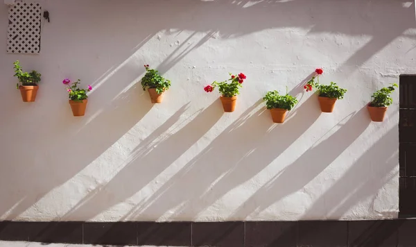 Macetas y flores en una pared blanca, Ciudad vieja europea — Foto de Stock