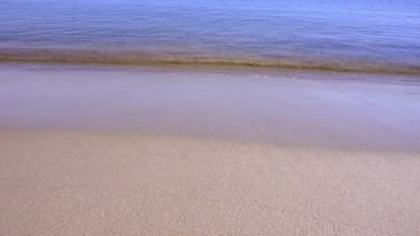 Тихий и спокойный пляж Коста-Даурада в Каталонии, Испания — стоковое видео