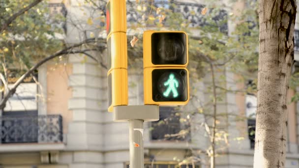 Green to red traffic light for pedestrians in Barcelona — Stock Video