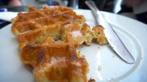 Belgian waffles with sugar — Stock Video