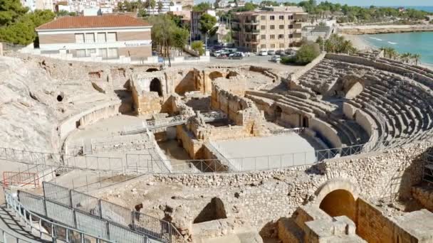 Tarragona 'daki Roma amfitiyatrosu, Costa Dorada, Katalonya, İspanya — Stok video