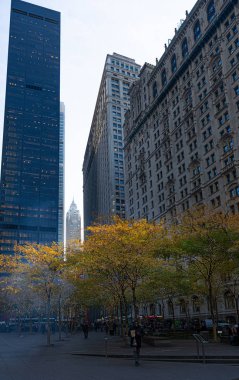 Tatil ışıklar aşağı Manhattan Zuccotti parkta.