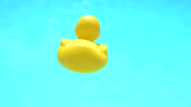 Pato de goma amarillo sobre fondo azul — Vídeo de stock