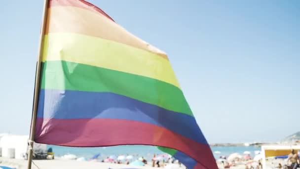 Rainbow Flag - Gay Pride Flying Briskly In Wind — ストック動画