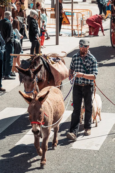 Реус, Испания. Март 2019: Благословение лошадей в день святого Антония . — стоковое фото
