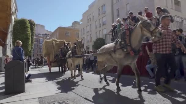 Reus, Spanien. März 2019: Pferdesegnung am St.-Antonius-Tag. — Stockvideo