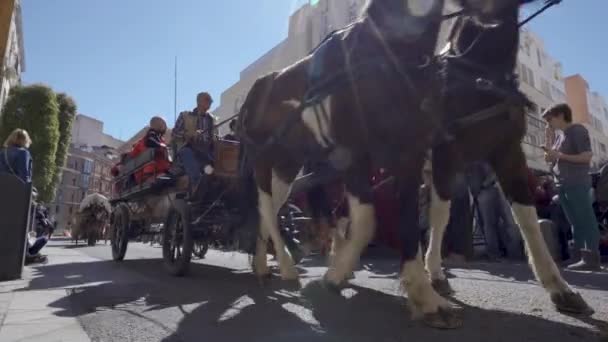 Reus, Spanje. Maart 2019: Paardenzegen in St. Anthonys dag. — Stockvideo