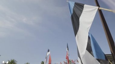 Estonya ulusal bayrağı güneşli bir günde dalgalanıyor