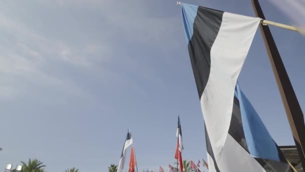 Estonya ulusal bayrağı güneşli bir günde dalgalanıyor — Stok video