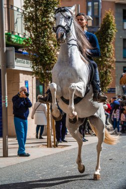 Reus, Spain. March 2018: Horses blessing in St. Anthonys day.