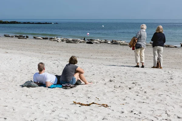 Toeristen zeehonden op het strand van Duin, Duitse eiland in de buurt van Hel kijken — Stockfoto