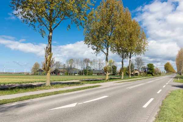 Dutch country road with farmhouse and trees in spring time — Stock Photo, Image