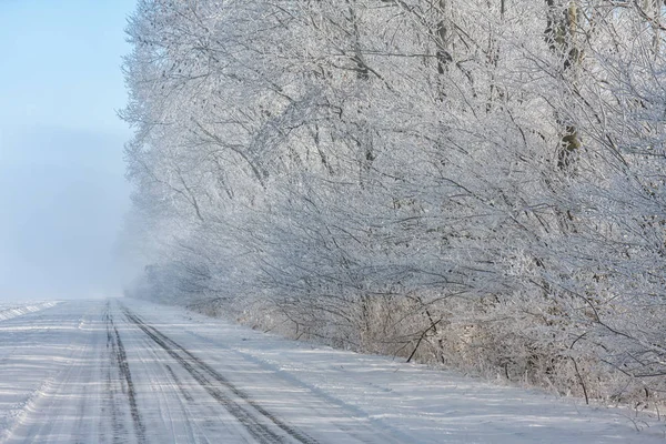 霧氷で覆われて countryroad と木がオランダの冬の風景 — ストック写真